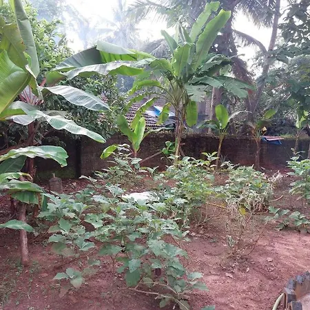 Oliver'S Goa Guesthouse